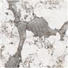 Chav ua noj Sintered Pob zeb Countertops
